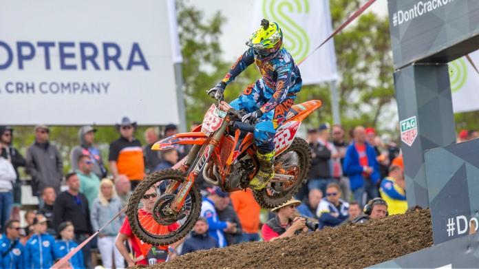 cairoli germania