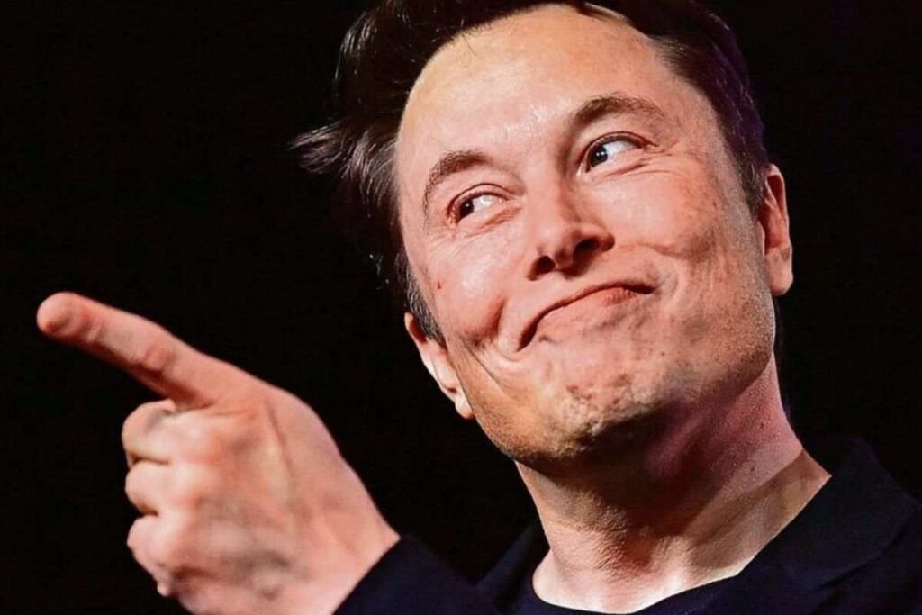 Elon Musk assume